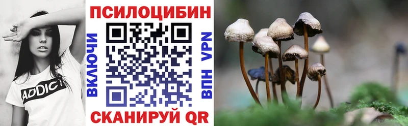 darknet какой сайт  Новоуральск  Галлюциногенные грибы Psilocybe 